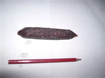 Saucisse aux racines rouges / Randenwurst