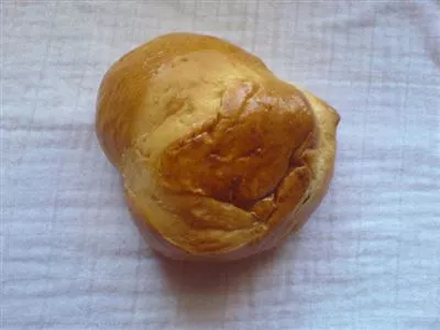 Bütschella