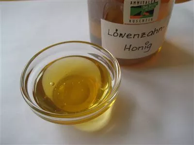 Tannenspitzenhonig / bourgeons de sapin au miel