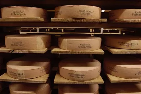 Vacherin fribourgeois (AOP)