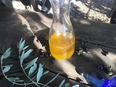 Olio d’oliva ticinese